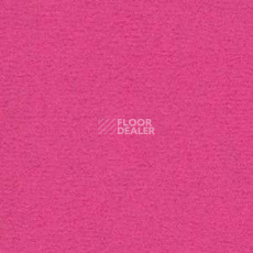 Ковролин Radici Nexus Fuxia 8272 фото 1 | FLOORDEALER